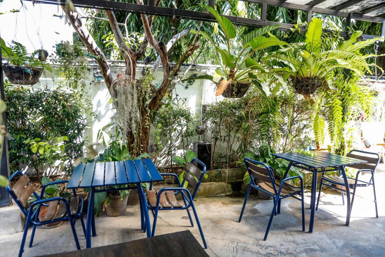 Sleep Guesthouse Chiang Mai Dış mekan fotoğraf